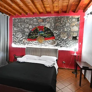 L'infiorescenza New 3* Syracuse